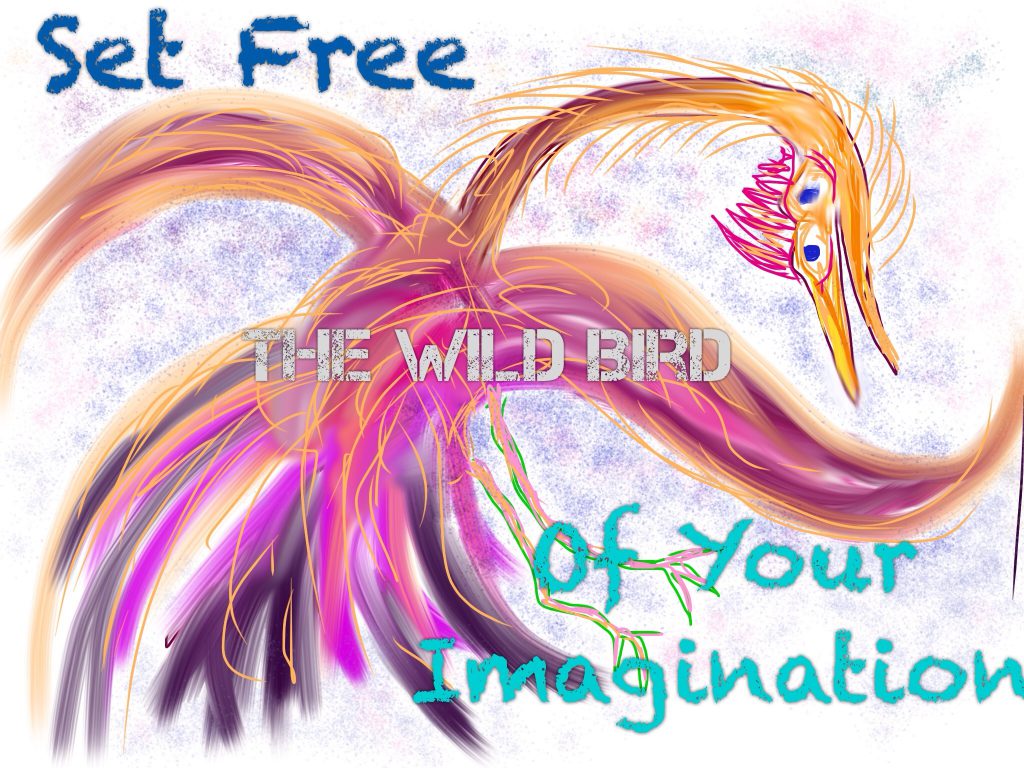 wildbirdofimagination