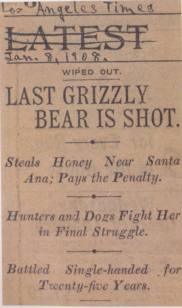grizzly bear headline