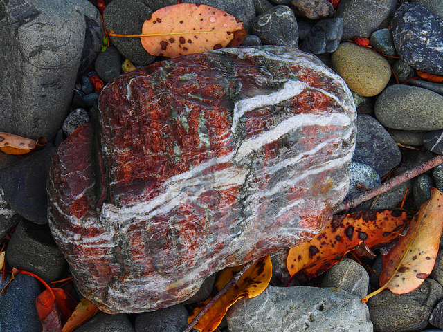 Chetco stripey rock with leaves