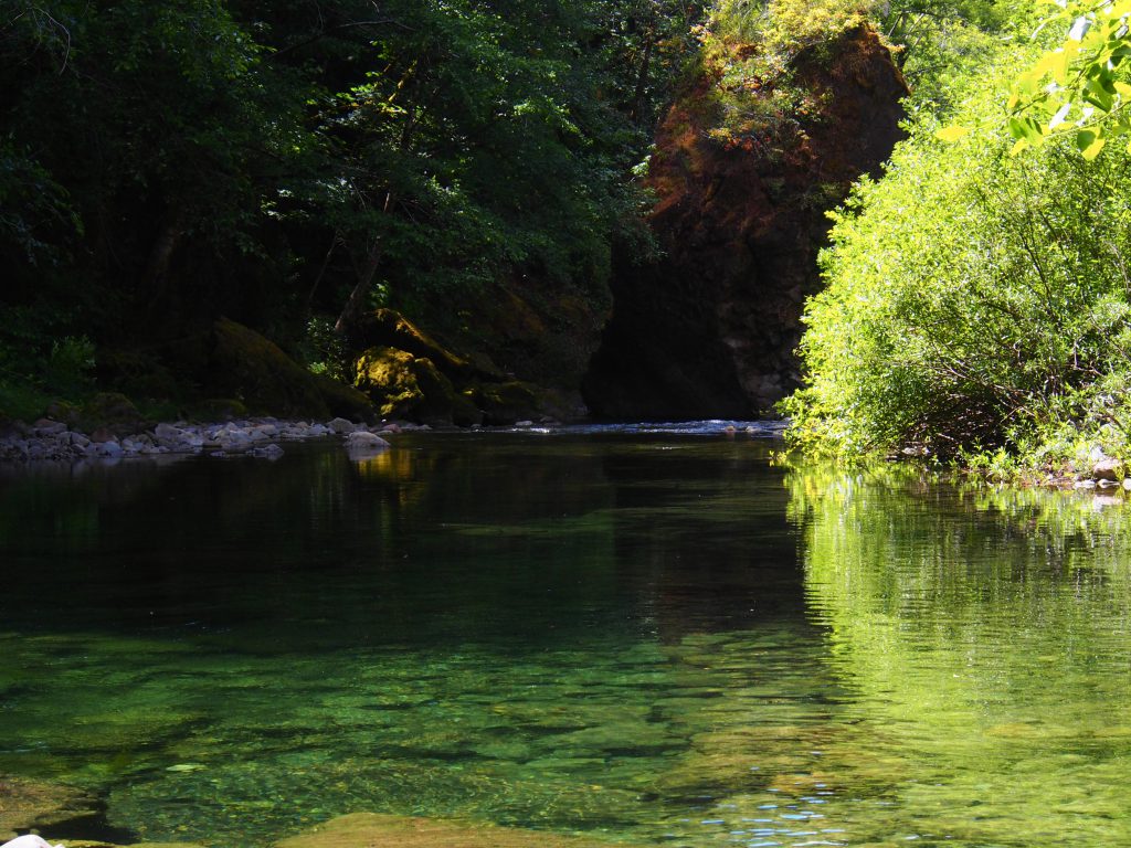 Green pools of the Chetco River