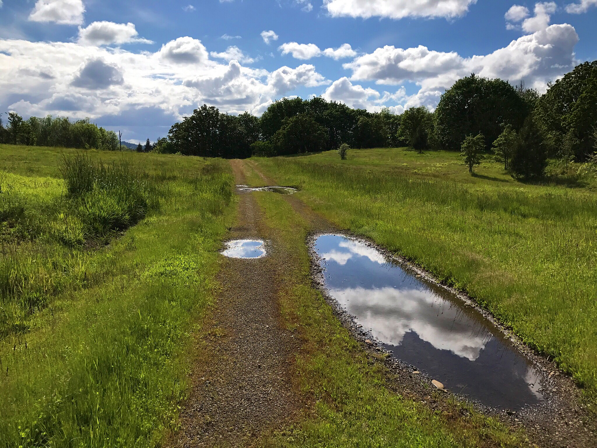 Sky Puddles on a remote country lane on the north side of Mt. Pisgah where I had never gone before.