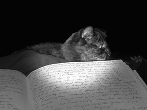 Pookie, our tortoiseshell cat, watches over my Morning Pages in the Great Book