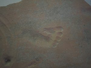 A 2000 year old imprint of a child’s foot in clay.