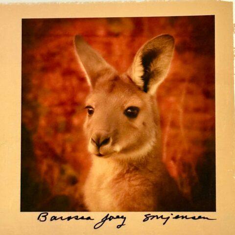 Barossa Joey