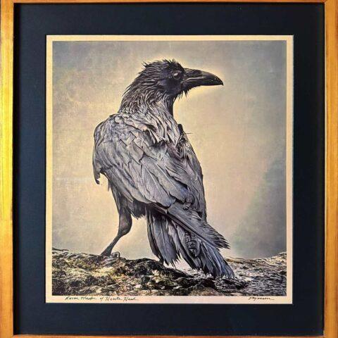 Raven Master of Heceta Head: Bringer of Light (Gilded 23" x 21.5")