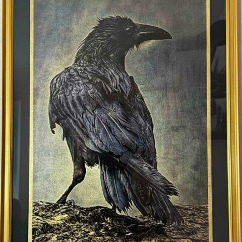 Obsidian Gold