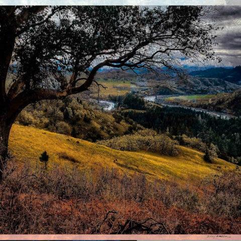 Peaceable Kingdom, North Umpqua