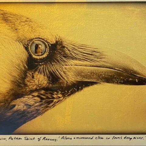 St. Kevin, Patron Saint of Ravens, "Alone and mirrored clear in love's deep river." (Gilded 12" x 15")